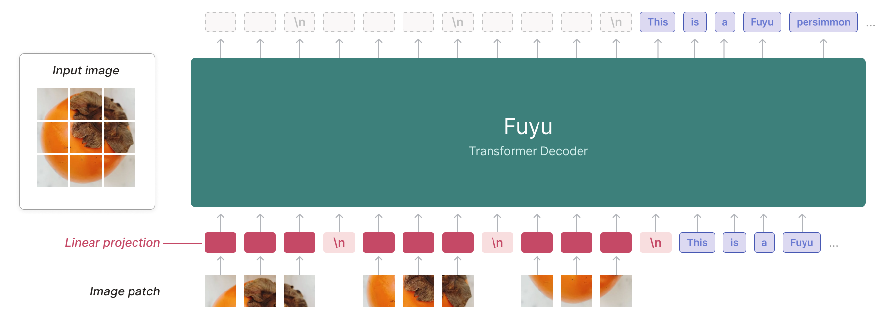 fiyu